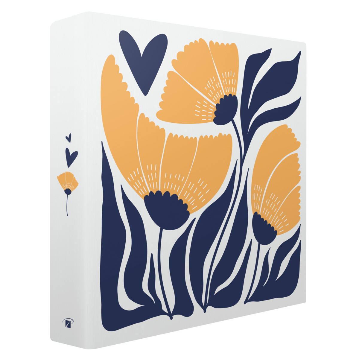Album photos pochettes illustration Design 200 photos biais Album photos pochettes illustration Design 200 photos biais