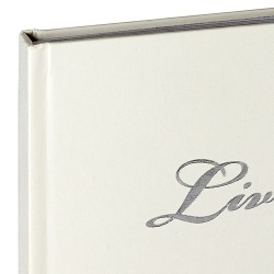 Livre or Boston 80 pages blanches argent zoom