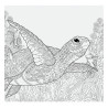Album photos pochettes tortue à colorier 200 photos - Face