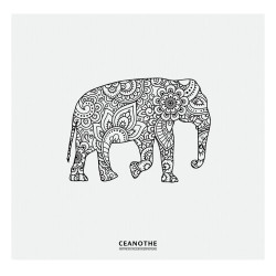 Album photos pochettes éléphant à colorier 200 photos - dos