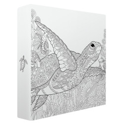 Album photos pochettes tortue à colorier 200 photos - Biais