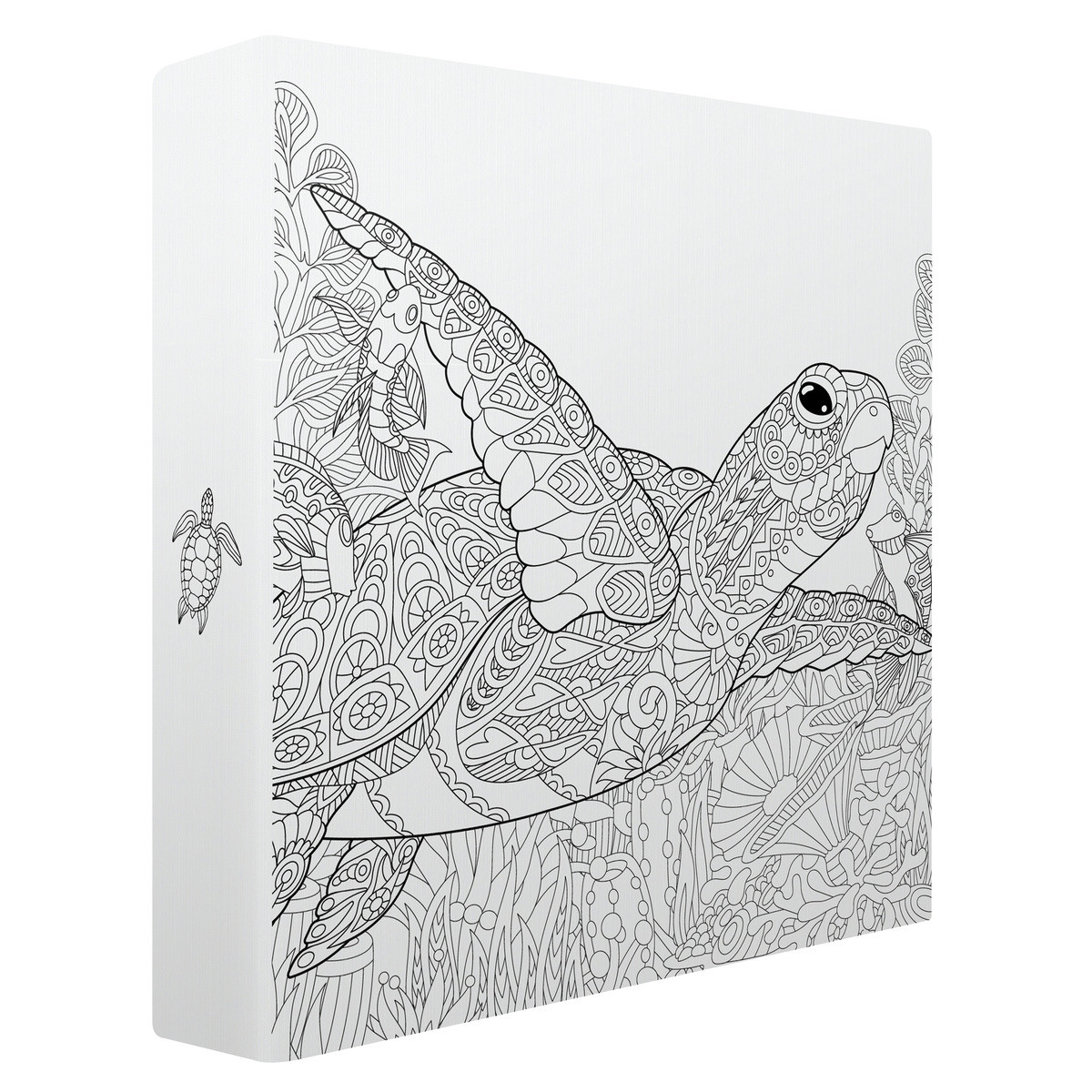 Album photos pochettes tortue à colorier 200 photos - Biais Album photos pochettes tortue à colorier 200 photos - Biais