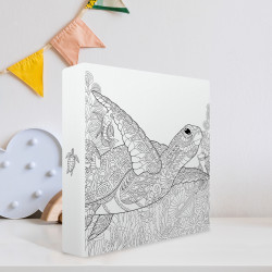 Album photos pochettes tortue à colorier 200 photos - ambiance