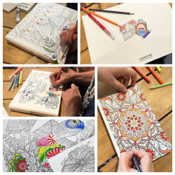 Album photos pochettes tortue à colorier 200 photos | Photoexpression