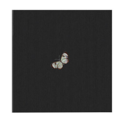 Album photos pochettes illustration Eclosion 200 photos - dos