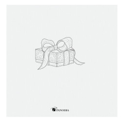 Album photos pochettes Anniversaire à colorier 200 photos - dos