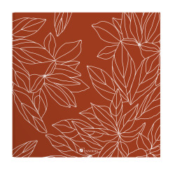 Album photos pochettes Fauve 200 photos - dos