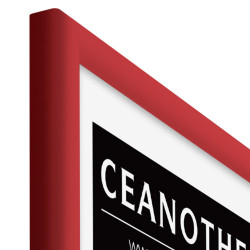 CADRE 30X45 ESSENTIEL ROUGE - zoom