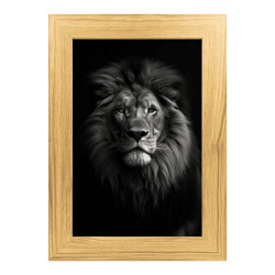 Tableau lion noir et blanc sur aluminium encadré bois 39x54 cm