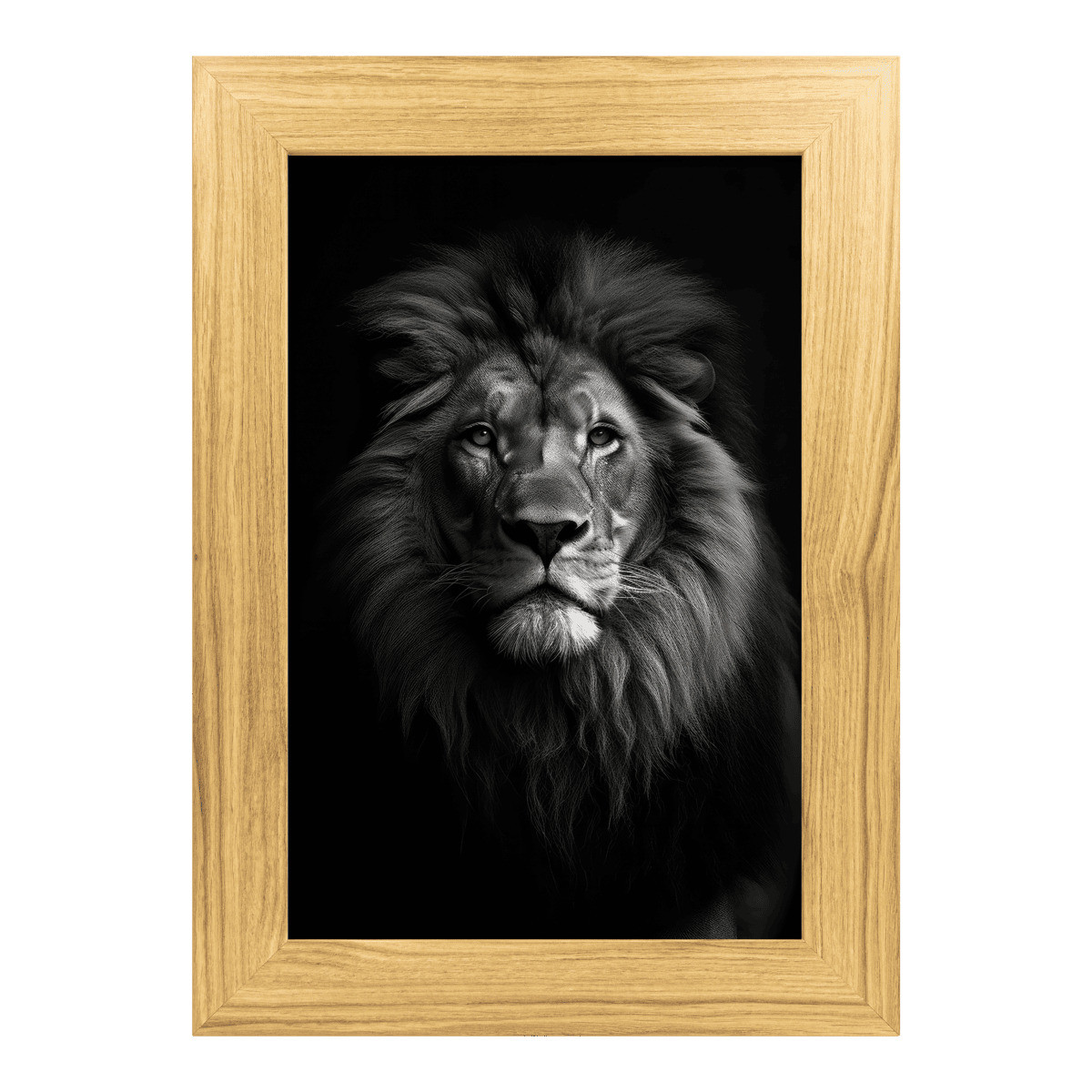 Tableau lion noir et blanc sur aluminium encadré bois 39x54 cm