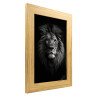 Tableau lion noir et blanc sur aluminium encadré bois 39x54 cm biais