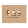 Album photo Journal de naissance Noe 36 pages face