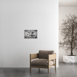 Tableau mural buffle au bain ambiance